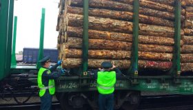 Уссурийские таможенники предотвратили вывоз российского леса в Китай